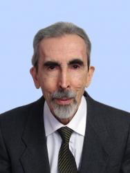 Паронджанов Владимир Даниелович