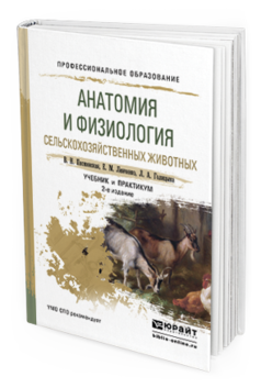 Обложка книги АНАТОМИЯ И ФИЗИОЛОГИЯ СЕЛЬСКОХОЗЯЙСТВЕННЫХ ЖИВОТНЫХ Писменская В.Н., Ленченко Е.М., Голицына Л.А. Учебник и практикум