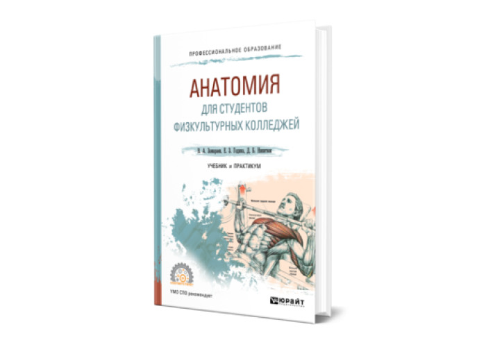 анатомия человека учебник для медицинских училищ. учебник по анатомии. и. учебник по анатомии человека для медицинских вузов. немецкий язык для медицинских колледжей 2006 г.