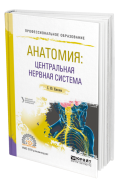 Обложка книги АНАТОМИЯ: ЦЕНТРАЛЬНАЯ НЕРВНАЯ СИСТЕМА Киселев С. Ю. Учебное пособие