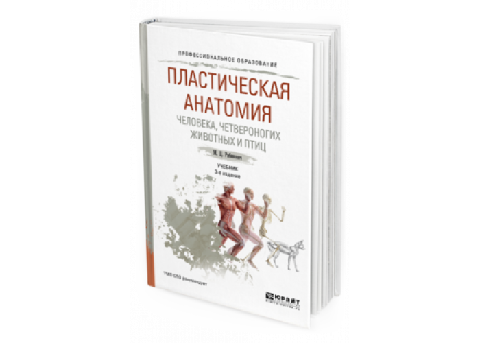 Пластическая анатомия человека, четвероногих животных и птиц. Учебник для СПО