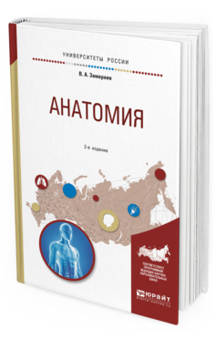 Обложка книги АНАТОМИЯ Замараев В.А. Учебное пособие