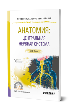 Обложка книги АНАТОМИЯ: ЦЕНТРАЛЬНАЯ НЕРВНАЯ СИСТЕМА Киселев С. Ю. Учебное пособие