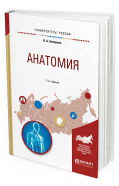 Обложка книги АНАТОМИЯ Замараев В. А. Учебное пособие