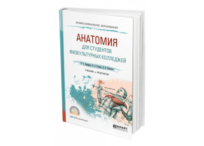 Анатомия человека учебник для техникумов физической культуры. Учебник по анатомии для физкультурных вузов. Учебник по анатомии СПО. Анатомия, учебное пособие для СПО, Замараев в.а., 2019.