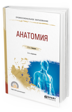 Обложка книги АНАТОМИЯ Замараев В. А. Учебное пособие