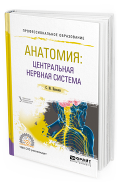 Обложка книги АНАТОМИЯ: ЦЕНТРАЛЬНАЯ НЕРВНАЯ СИСТЕМА Киселев С. Ю. Учебное пособие