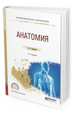Обложка книги АНАТОМИЯ Замараев В.А. Учебное пособие